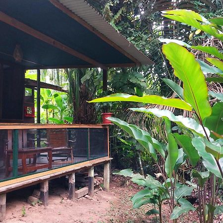 Jardin De Las Musas Пуэрто-Мальдонадо Экстерьер фото