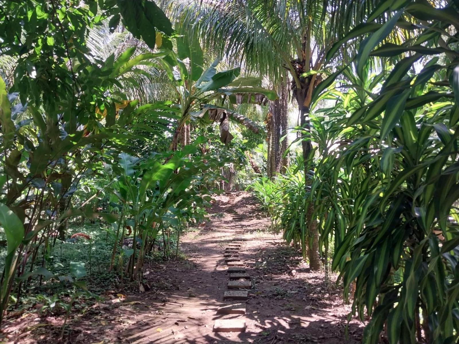 Jardin De Las Musas Пуэрто-Мальдонадо Экстерьер фото