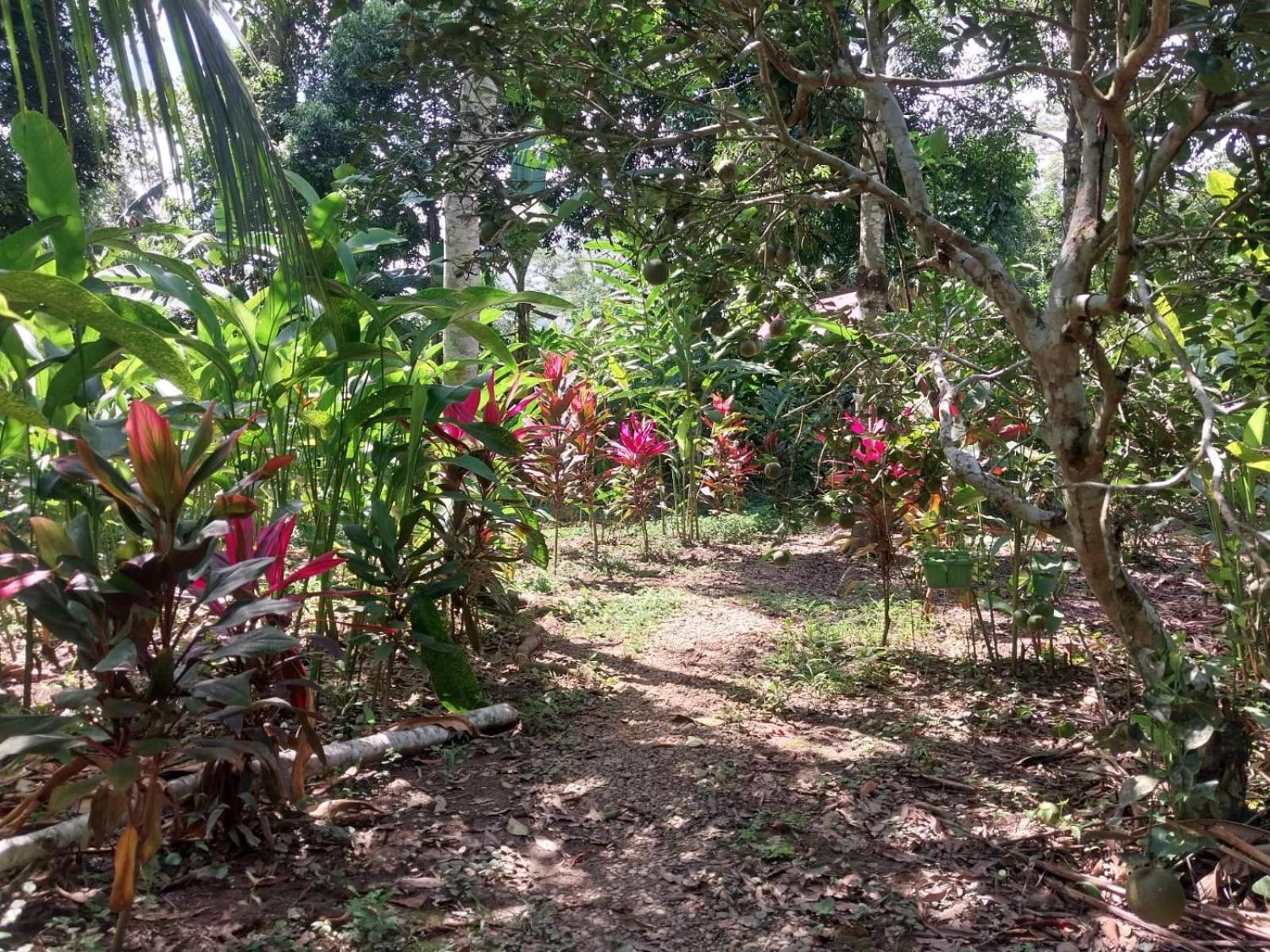 Jardin De Las Musas Пуэрто-Мальдонадо Экстерьер фото