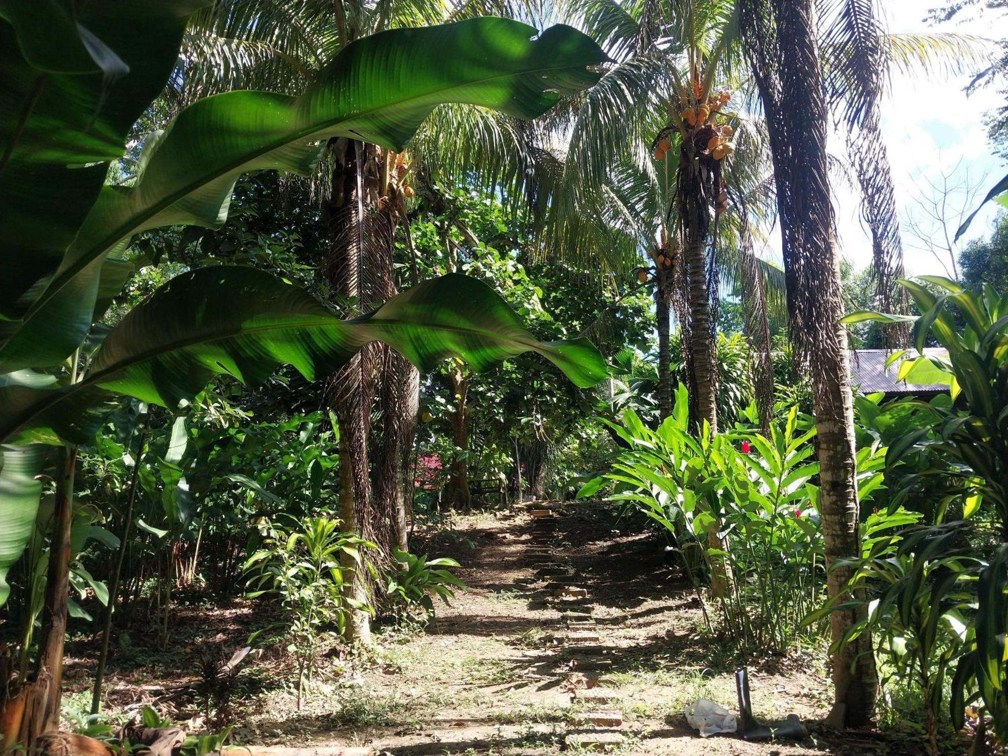 Jardin De Las Musas Пуэрто-Мальдонадо Экстерьер фото