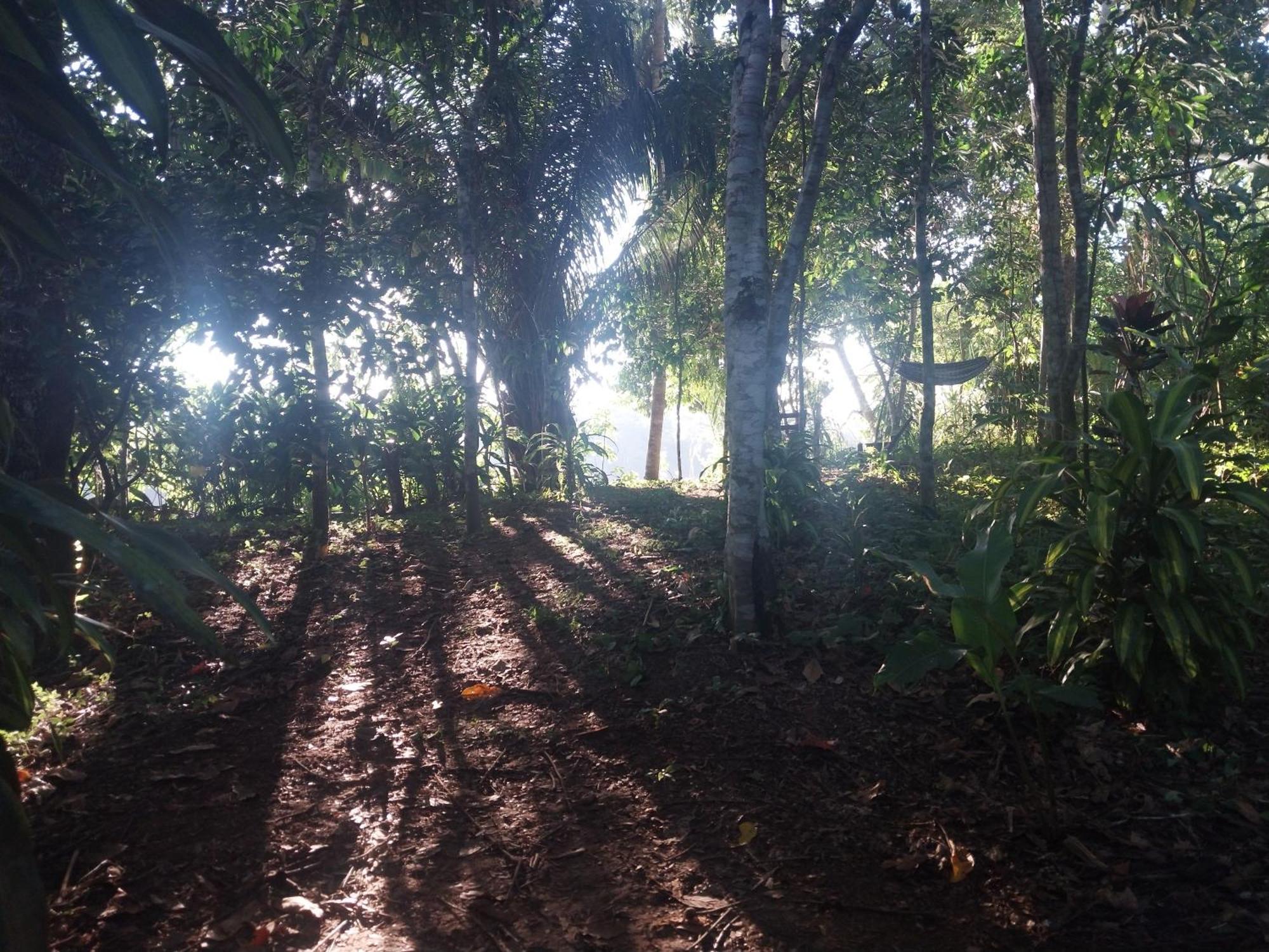 Jardin De Las Musas Пуэрто-Мальдонадо Экстерьер фото
